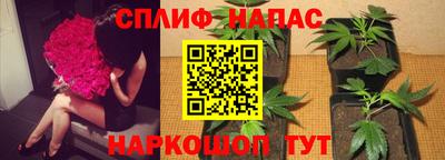 трава Будённовск