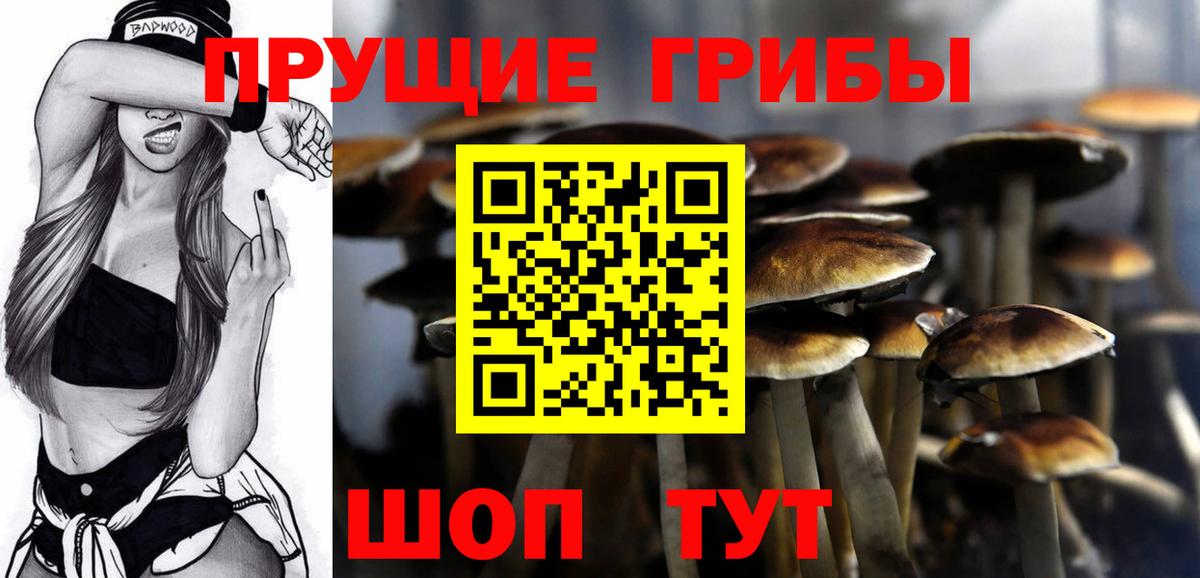 Галлюциногенные грибы ЛСД  Вход с VPN  Псилоцибиновые грибы Psilocybine cubensis  Рузаевка 