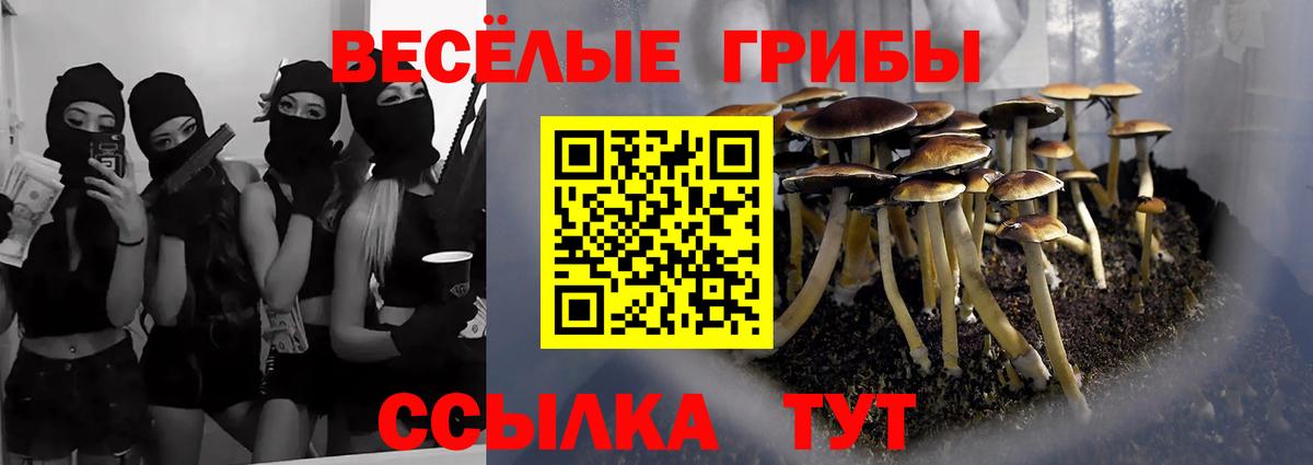 Псилоцибиновые грибы GOLDEN TEACHER Рузаевка